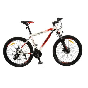 فونیکس zk200